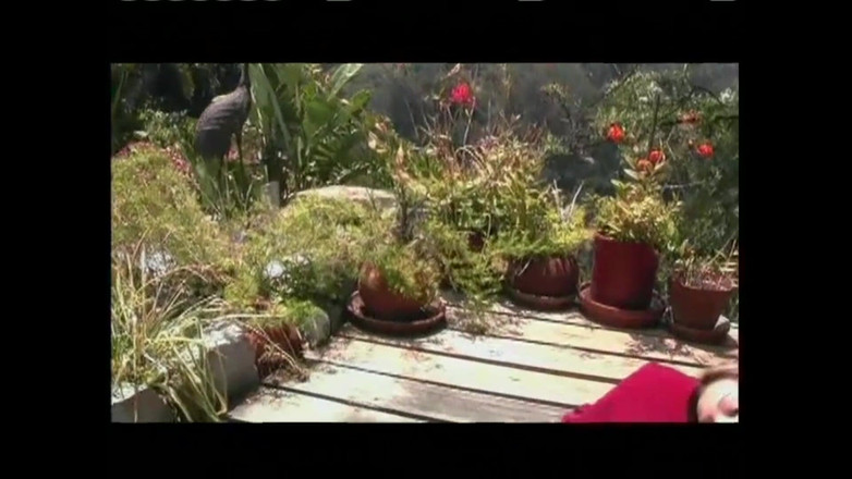 Porn4Life: Kathleen Kruz Menikmati Harinya