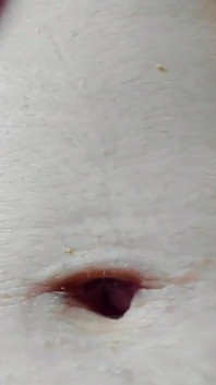 Ateşli ıslak esmer Myla_angel külotlu çoraplı uzun ıslak erotik gösterisi. Göğüs! Meme! Kedi!