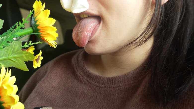 AmayaMori: कार में छींकना मेरे प्लास्टिक के फूल एलर्जी प्रतिक्रिया