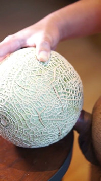 Fuck Melon in Hotel.
