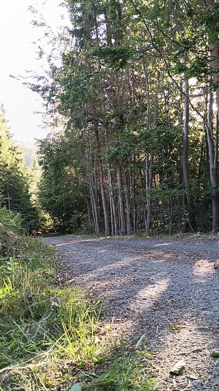 kickerscooter: 야외 자위하는 스쿠터 라이더