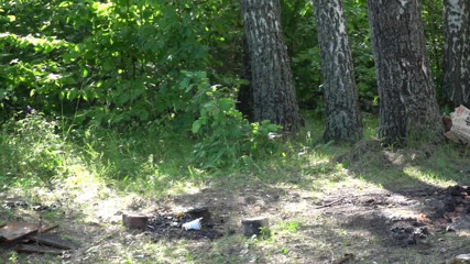 Anna Fire: 私の継母は自然の中で彼女の口の中に精液を得るのが大好きです