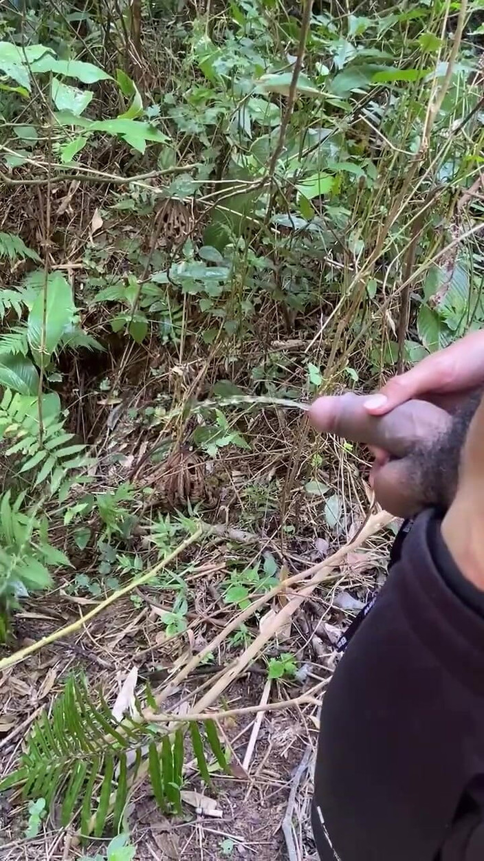 Vida Noite: ट्रेल्स पर जुनूनी पेशाब के साथ पेशाब