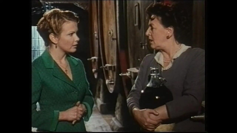 Vintage megastore: Secret Vintage Affairs