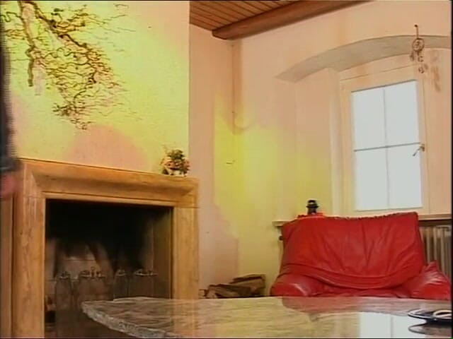 Old PIGS XXX: Мачуха... Що ти робиш з вітчимом? -DVD