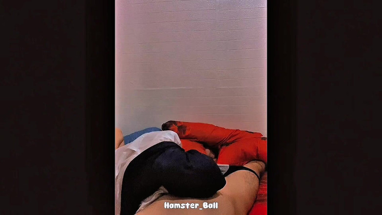 Hamster_Ball: 핸잡과 펠라