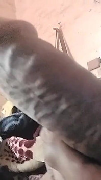My Cock Is Very Hard and Long