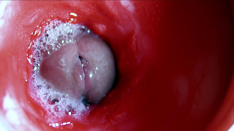 SEXY_GUYBEST: Velmi blízké obrovské proudy spermatu ve sladké díře Asmr Wet...