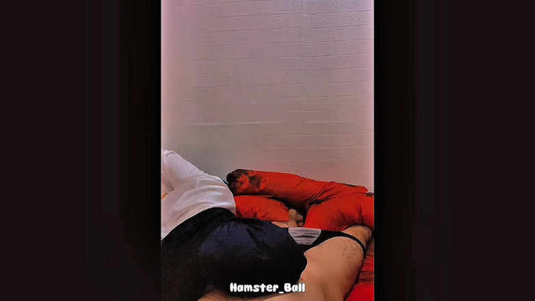 Hamster_Ball: Ammetto che tutti i malesi hijabis sono molto a brava...
