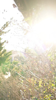 The Forest Sees Me Naked, Only Towel Keeps the Secret