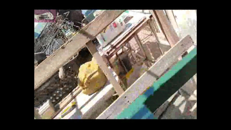 CasalGresopio: Acariciando O Pintor 1