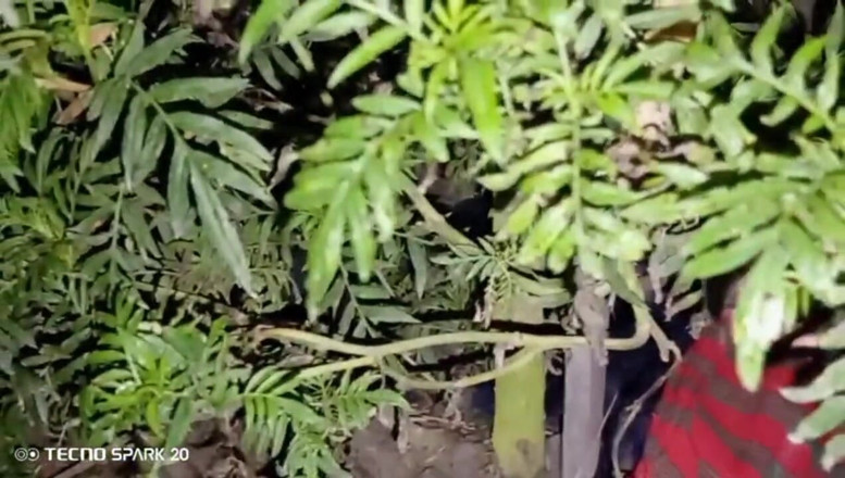 Real Time Enjoy: Alone in the House with My Crush - What Happened Next...