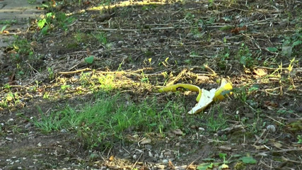 German Full Movies: Брудний трах із подвійним проникненням у червоній білизні