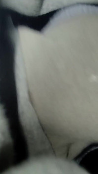 I Cum on My Mother-in-law's Dirty Panties