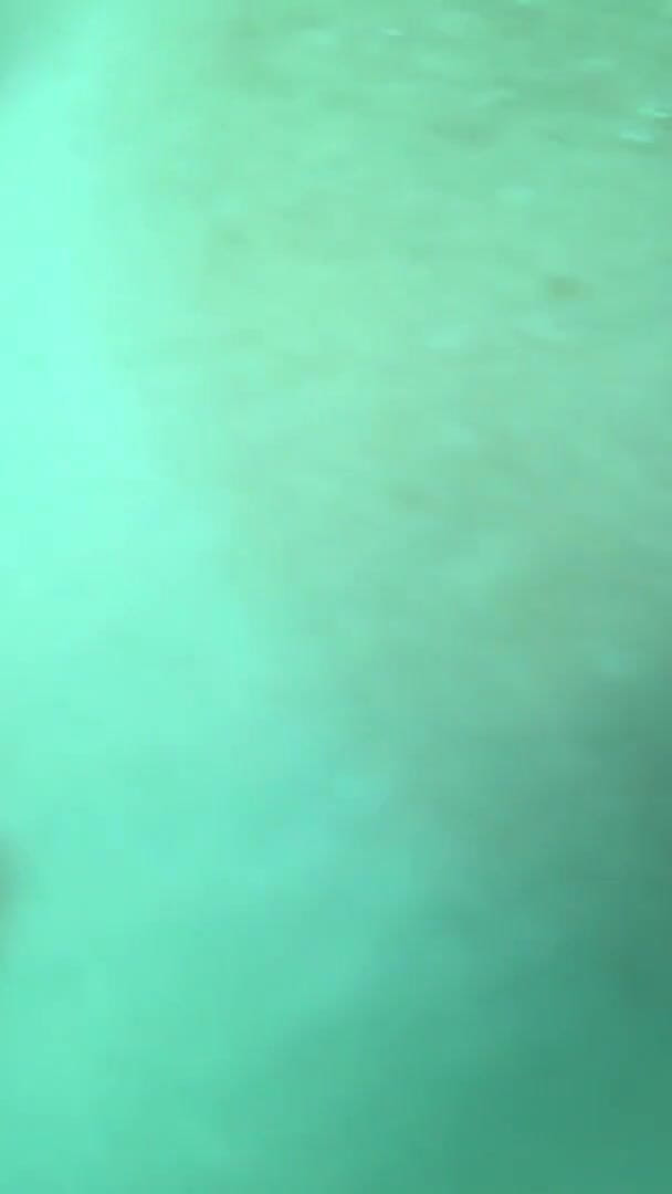 Mistress Pink Pearl: Supergirl se encuentra con el pulpo más cachondo en Bonaire