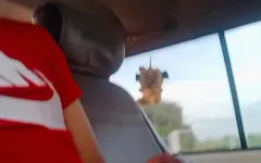 Abspritzen in einem taxi