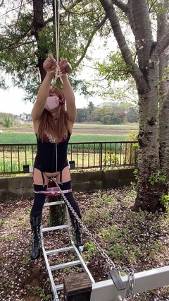 No. 178: Cherry Blossoms and Chain Play, Part 2 thumbnail