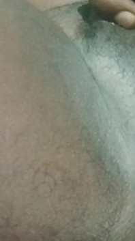 My Videos