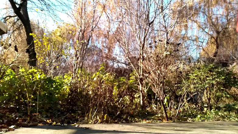 OurFetishLife: 这就是我的继子让我做的