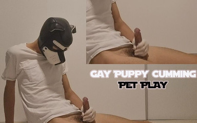 Abi Yinger: Gay pup cumming pet hra