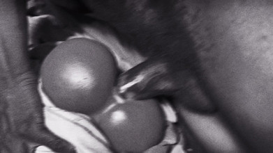 Bangcum8: Великий чорний член міжрасовий