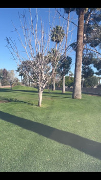 Got on the Green From About 160 Using My 5 Iron Though I Rather Have 8 Iron in My Mouth