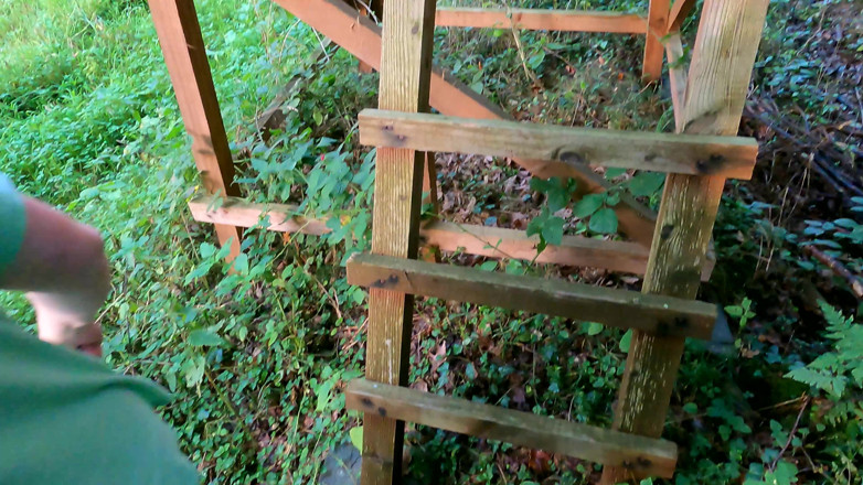 Bouncy Tits Action: Topless por el bosque