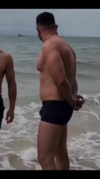 Ich traf zwei Katzen am strand und machtes mit ihnen raus