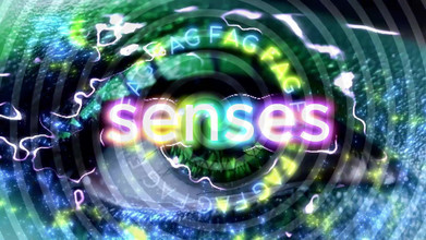 Goddess Misha Goldy: Rewire dein gehirn, um sich nach schwanz zu sehnen und...