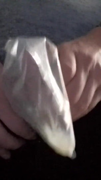 Cumshot in Zipper at Work