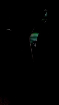 Avere un rapporto a tre con due ragazze brunette assetate