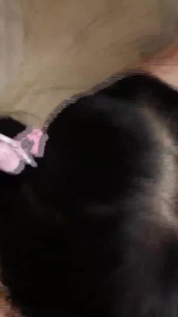 Menina jovem gangbang coleção part4