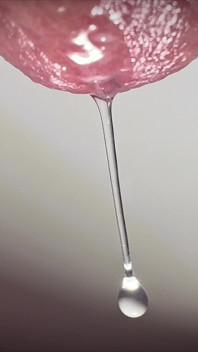 Penis Tropft
