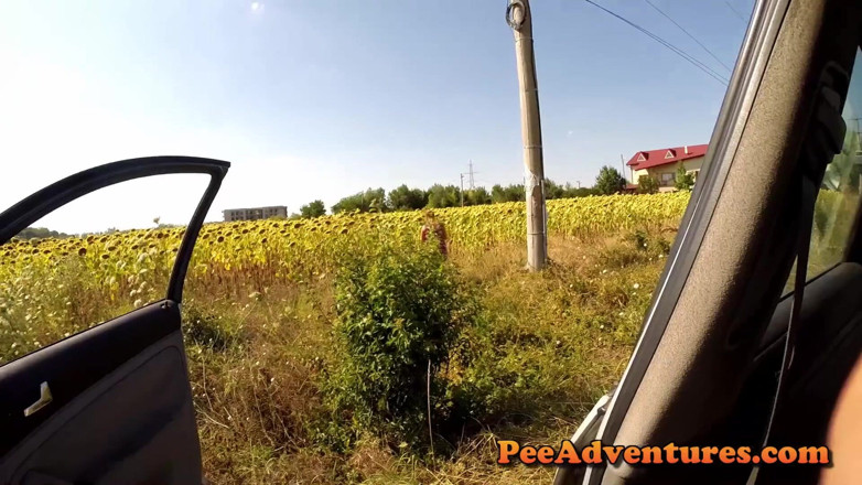 Pee Adventures: Pisse sur le pare-brise (vue depuis l'intérieur de la voiture)