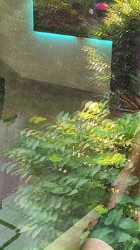 Seks anal di depan jendela