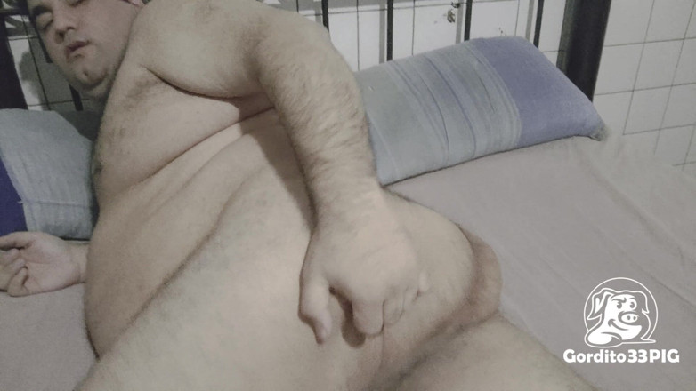 Gordito33PIG: หมูอ้วนเคลื่อนย้ายน้ํามันหมู