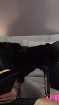 Cassandra's Disturbing Feet - (dreamgirls in Socks)