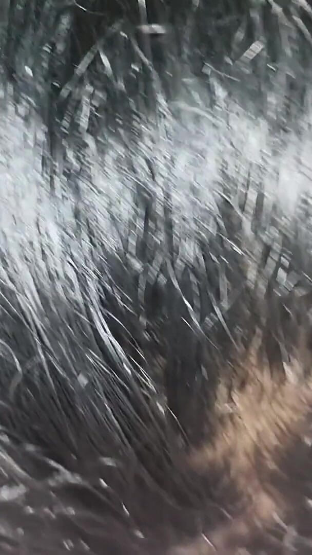 CloudyPush59: Telugu Desi Aunty Sucking and Fucking