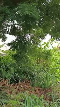 У мене був найкращий трах в кущі зі своїм новим хлопцем