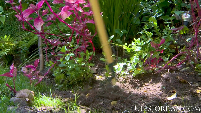 Jules Jordan: Casa da esposa Kendra Lust seduz enorme pau jardineiro