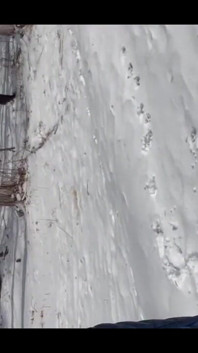 Guy Showing off Cock Pissing While X Country Skiing