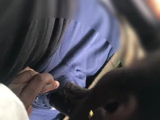 She Suck My Dick Parked in the Trees