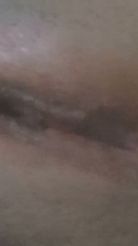 Pussy
