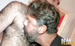 BEARFILMS hairy gay men Rob Hairy and Ale Tedesco bareback