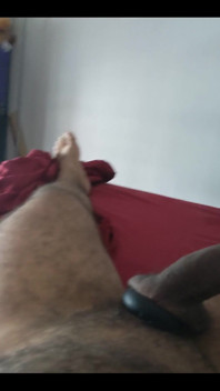 Who Wants to Help with His Morning Wood?