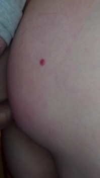 PAWG Teen Fucked Huge Heart-shaped Ass