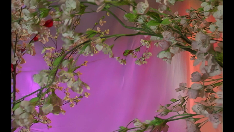 Perv Milfs n Teens: Curvă anală Gabriela