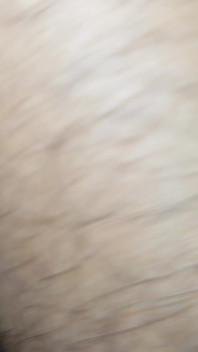 Smallgirl18