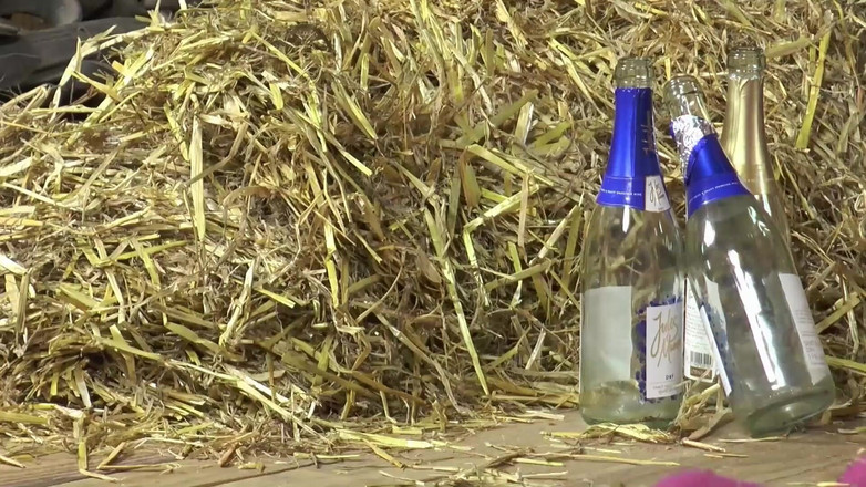 DEUTSCHLAN PORNO XXX: Czarno-biała Azjatka pieprzyć się razem