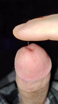 Sticky When Wet